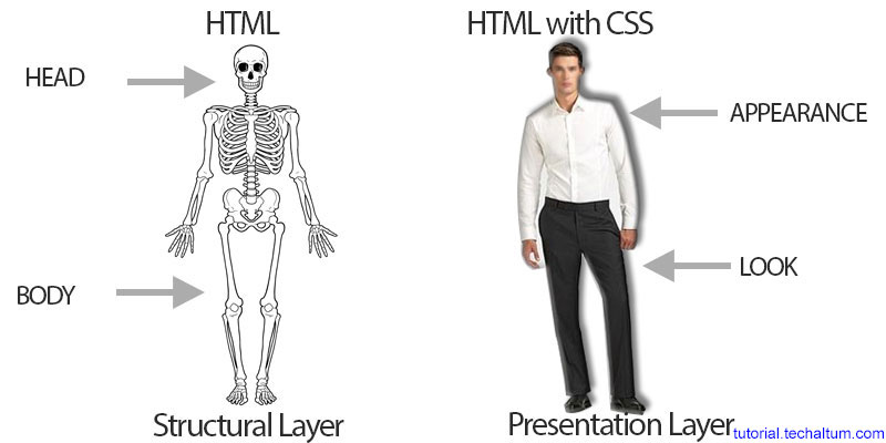 html-css